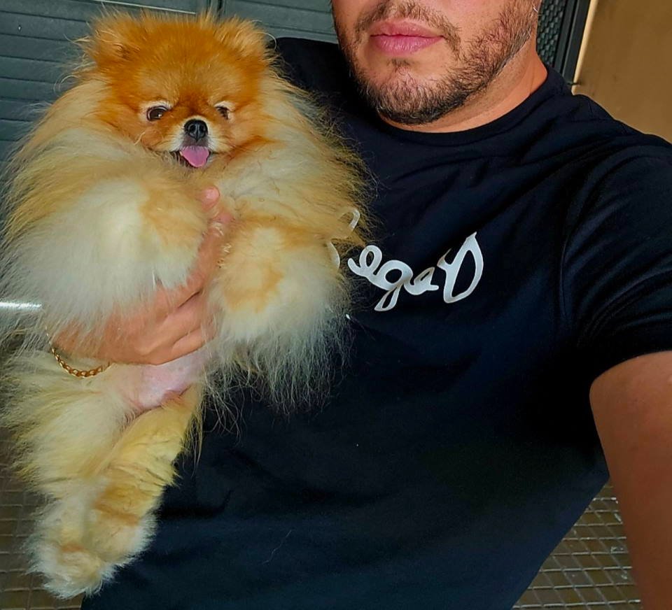 Najlepsi Pomeranci Boo