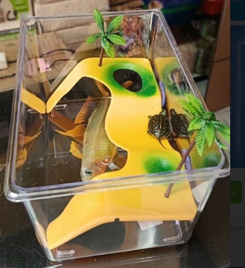 Kornjace terarijumske i akvarijumske