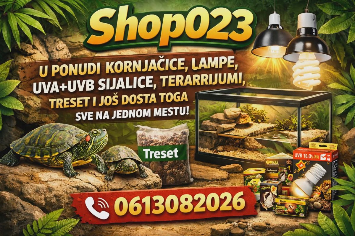Kopnena Kornjačica